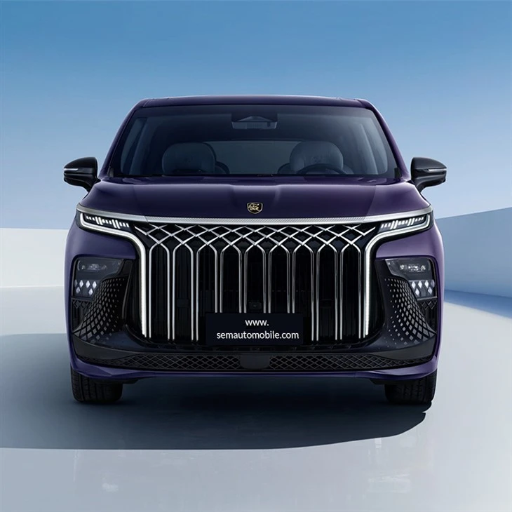 2024 Dongfeng Forthing U-Tour V9 Mpv