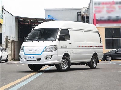 Skyworth D10 EV Van Micro